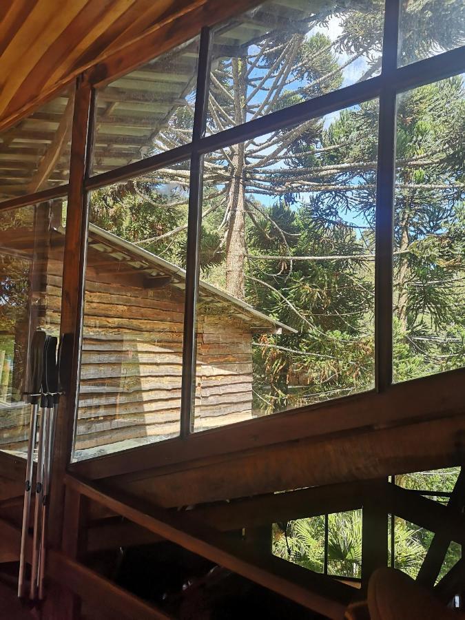 Alive Eco Hut Pousada Monte Verde  Exterior photo